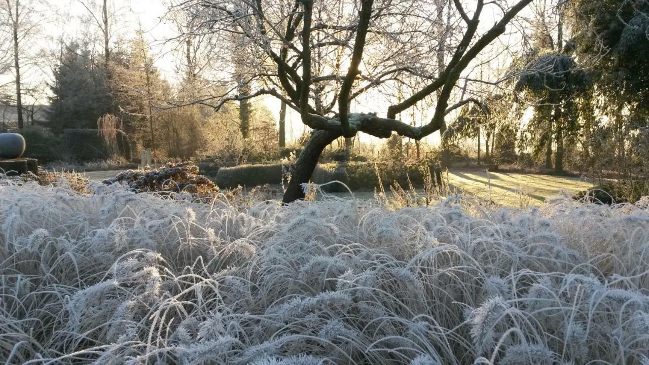 Gastenverblijf 'T Nagtegaeltje Sint-Oedenrode Экстерьер фото